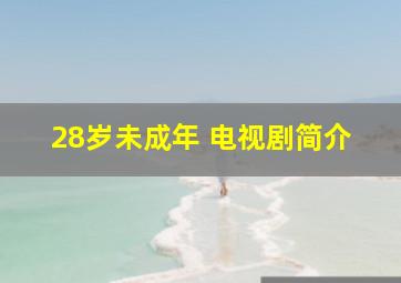 28岁未成年 电视剧简介